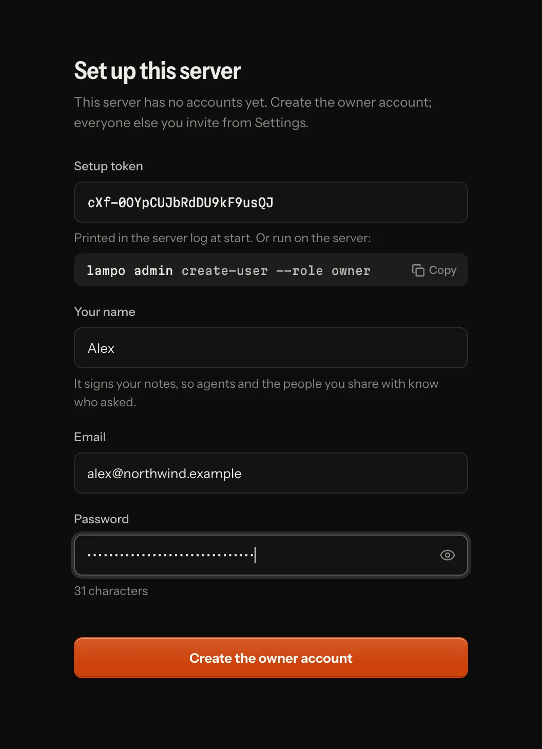 A hosted server’s first start: the setup screen with the one-time setup token, name, email and password